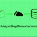 Golang and MongoDB connection tutorial